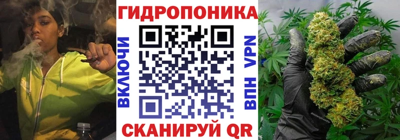 Купить наркотики сайты Вольск ГАШИШ  Бошки Шишки  COCAIN  Меф мяу мяу 