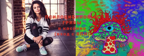 прущая мука Верея
