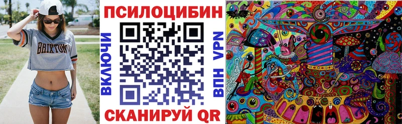 Галлюциногенные грибы Cubensis  мега зеркало  Вольск 